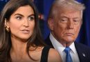 Kaitlan Collins Says She Wasn’t ‘Surprised’ Trump Attacked Her During WHCD Speech
