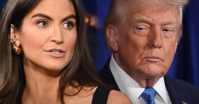 Kaitlan Collins Says She Wasn’t ‘Surprised’ Trump Attacked Her During WHCD Speech